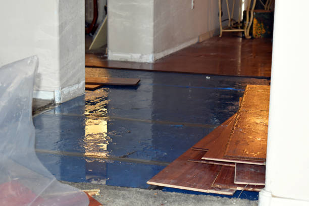 Professional Burst Pipe Cleanup technician working in Brownsville, PA
